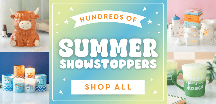 Shop All Summer >