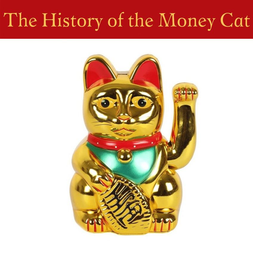 SDW4479_MoneyCatBlogHeroImage.png