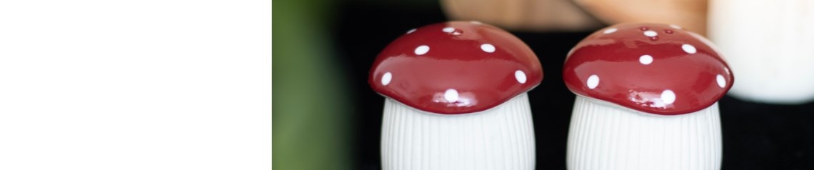 Wholesale tableware including fun salt and pepper sets, teapots, flower jugs, coasters and egg cups. Available in contemporary, gothic and seasonal designs, perfect for kitchenware retailers and gift shops. No minimum order with worldwide shipping.