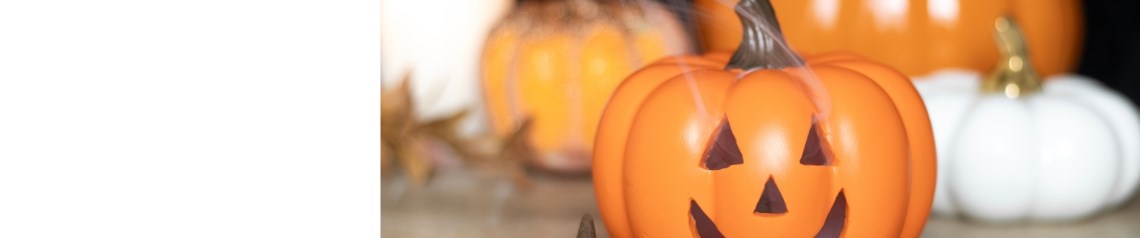 Vintage Halloween decorations and gifts featuring black cats and jack-o-lanterns. A nostalgic wholesale range for timeless seasonal displays and spooky home decor.