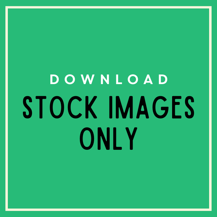 4 Column Image Stock Feed