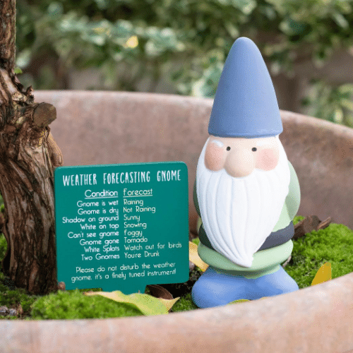 Wholesale Weather Forecasting Gnome