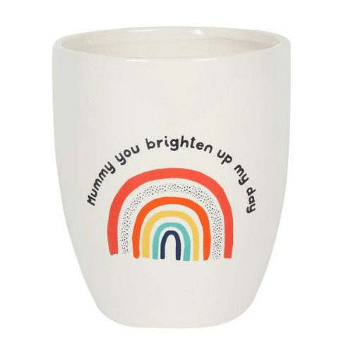 Wholesale Rainbow Mummy Plant Pot