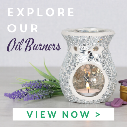 Explore All Oil Burners
