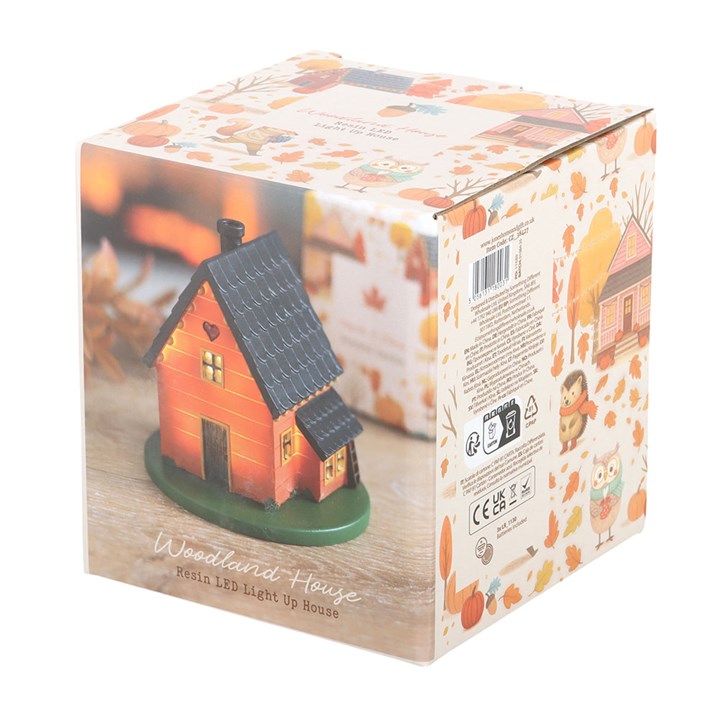 LED House Ornament Packaging