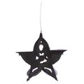 Pentagram Dragon Hanging Ornament by Anne Stokes