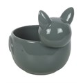 Cute Bat Bowl