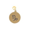 Capricorn Gold Tone Zodiac Sign Charm