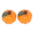 Pumpkin Salt and Pepper Shakers