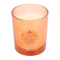 Autumn Wishes Pumpkin Pie Candle