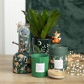 Green Forest Plant Pot with Fox