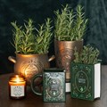 Green Witch Book Shaped Vase