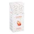 12 Packs of Native Soul Crystal Intentions Incense with Carnelian Chips