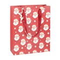 Jolly Santa Christmas Gift Bag