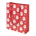 Jolly Santa Christmas Gift Bag