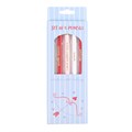 Pack of 5 Love Themed Pencils