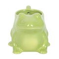Luna Frog Shaped Mug