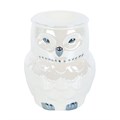 Owl Shaped Iridescent Oil Burner and Wax Warmer