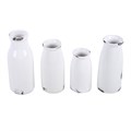 Set of 4 Decorative Milk Bottles