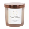 Full Moon Eucalyptus Crystal Chip Candle