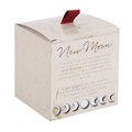 New Moon Wild Orange Crystal Chip Candle