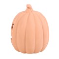 15cm Terracotta Pumpkin Ornament
