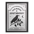 Old Raven Apothecary Mirrored Wall Art
