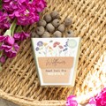Set of 12 Wildflower Seed Ball Packs in Display