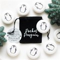 Box of 24 Pocket Penguin Marble Keepsake Stones