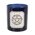 Solstice Wreath Smoky Amber & Vanilla Candle
