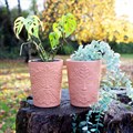 16cm Green Goddess Terracotta Plant Pot