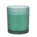 Healing Eucalyptus Mint Scented Candle