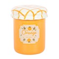 Orange Marmalade Jar Oil Burner and Wax Warmer
