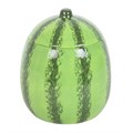 Watermelon Oil Burner