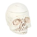 Weathered Skull Oil Burner and Wax Warmer