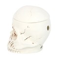 Weathered Skull Oil Burner and Wax Warmer