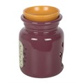 Mischief and Magic Potion Bottle Oil Burner and Wax Warmer