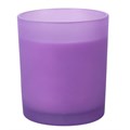 Zodiac Zest Pisces French Lavender Candle