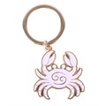 Zodiac Zest Cancer Keyring