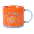 Zodiac Zest Aquarius Mug