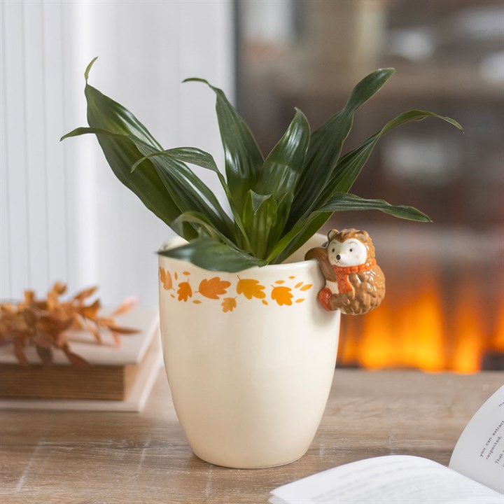 Autumn Plant Pot with Hedgehog