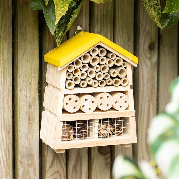 Wooden Honey Bee Insect House