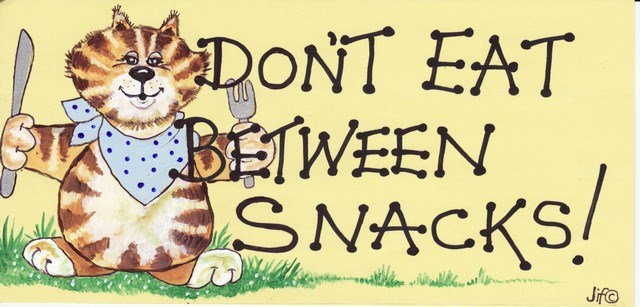 Don't Eat Between Snacks