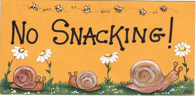 No Snacking