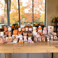 The Autumn Edit Product Bundle