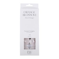 Pack of 10 Orange Blossom Scented Tealights
