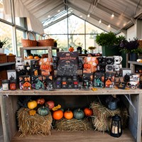 The Halloween Edit Product Bundle