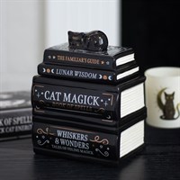 Kominek olejowy „Black Cat Book Stack” z kotem