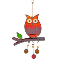 Owl On A Branch