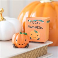 Set of 16 Cute Lucky Pumpkin Ornaments in Display